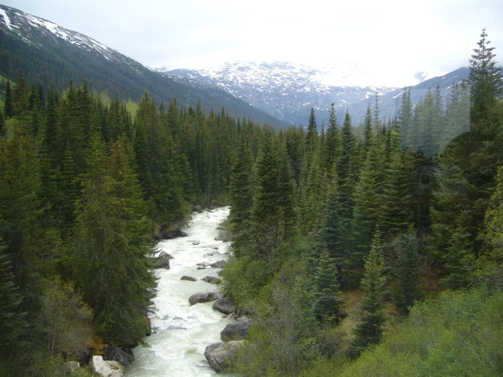A vintage passenger train winding along the mountain tracks during an alaskan-cruise-adventure.