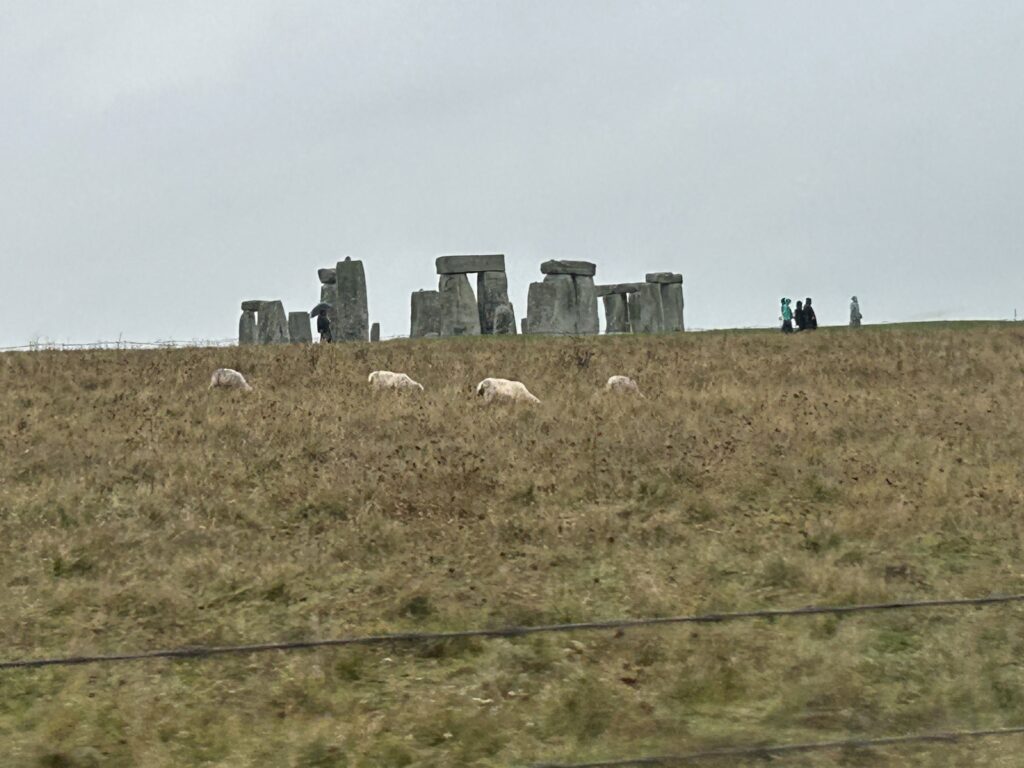 Stonehenge is located in a very rural area, about two hours from the heart of London. In the fields surrounding the stones, you will still see sheep grazing. Flocks of sheep grazing in the vast green fields surrounding the historic monument on a Stonehenge vacation itinerary.