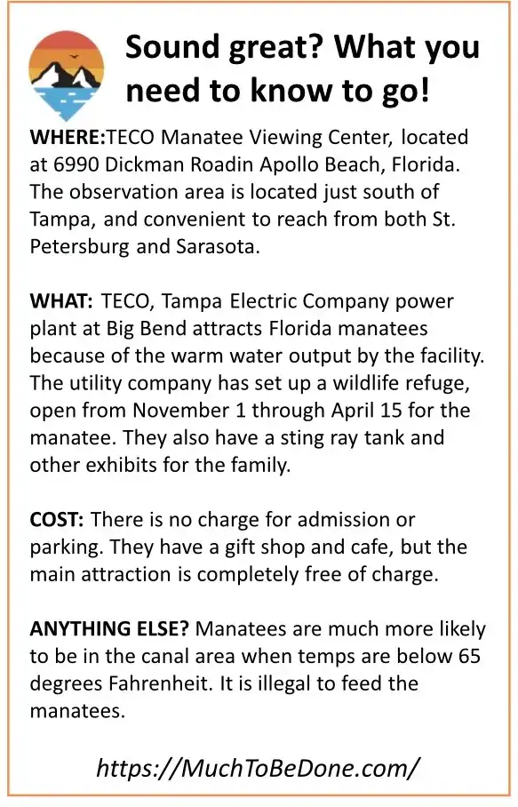 A travel logistics summary box for TECO and Crystal River, highlighting some of the best places to see manatees in Florida.