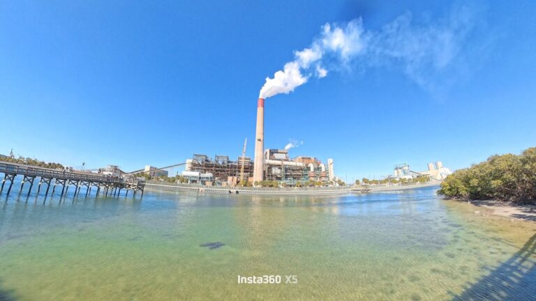 Best places to see manatees in Florida at TECO and Crystal River