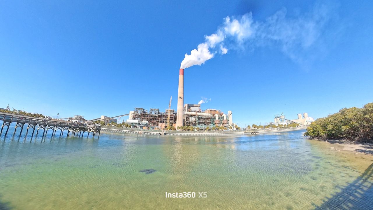 Best places to see manatees in Florida at TECO and Crystal River